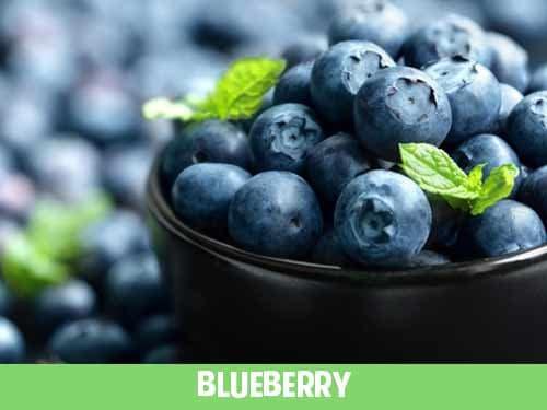 blueberry
