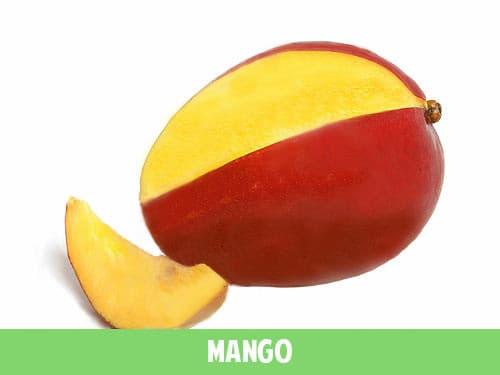 mango