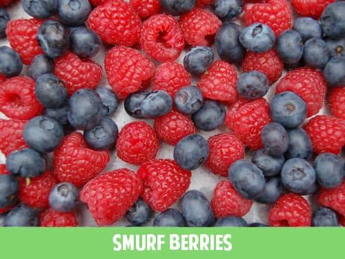 smurf-berries